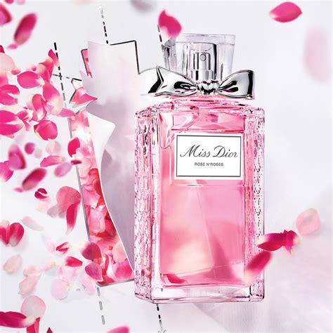 dior rose and rose perfume|dior rose n roses 100ml.